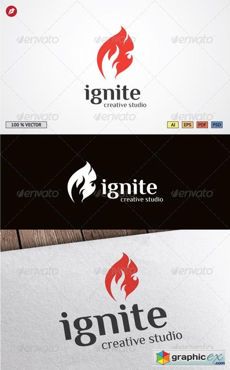 Ignite Logo Template 4436203