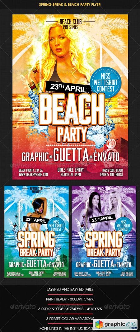 Spring Break & Beach Party Flyer 1748617