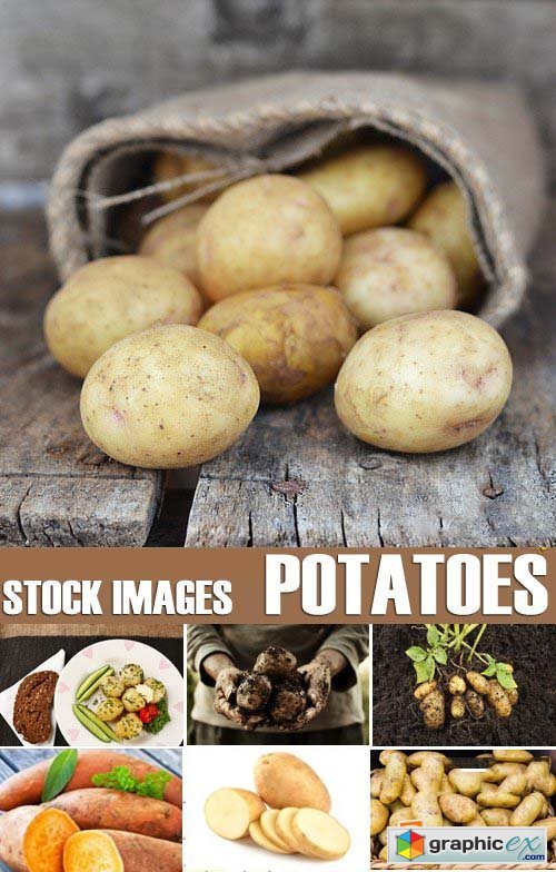 Stock Photos - Potato, 25xJPG