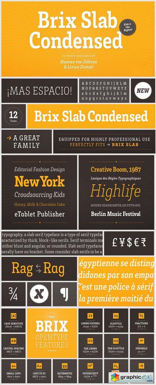 Brix Slab CondensedFont Family - 12 Font $480