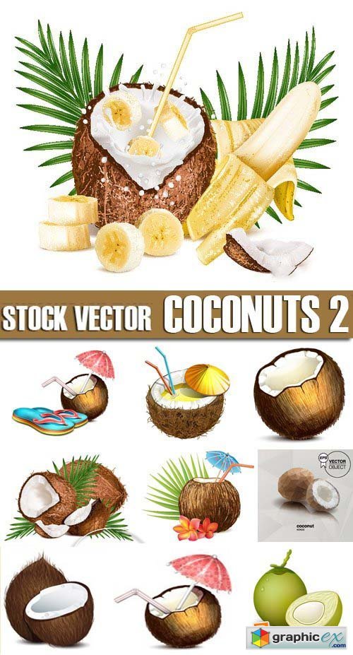 Stock Vectors - Coconuts 2, 25xEPS