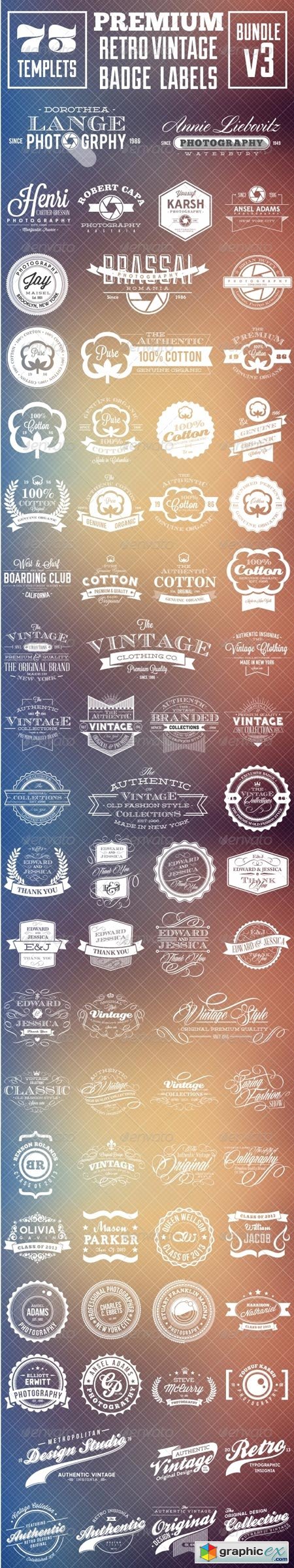 Premium Retro Vintage Badge Labels Bundle v3 8274395