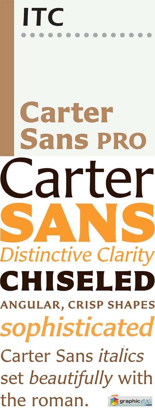 Carter Sans Pro Font Family - 8 Fonts $432