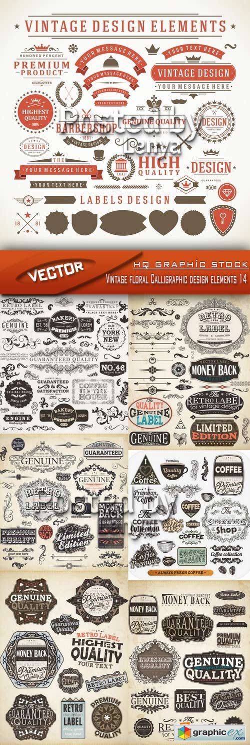 Stock Vector - Vintage floral Calligraphic design elements 14