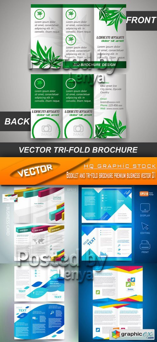 Stock Vector - Booklet and tri-fold brochure premium business vector 21