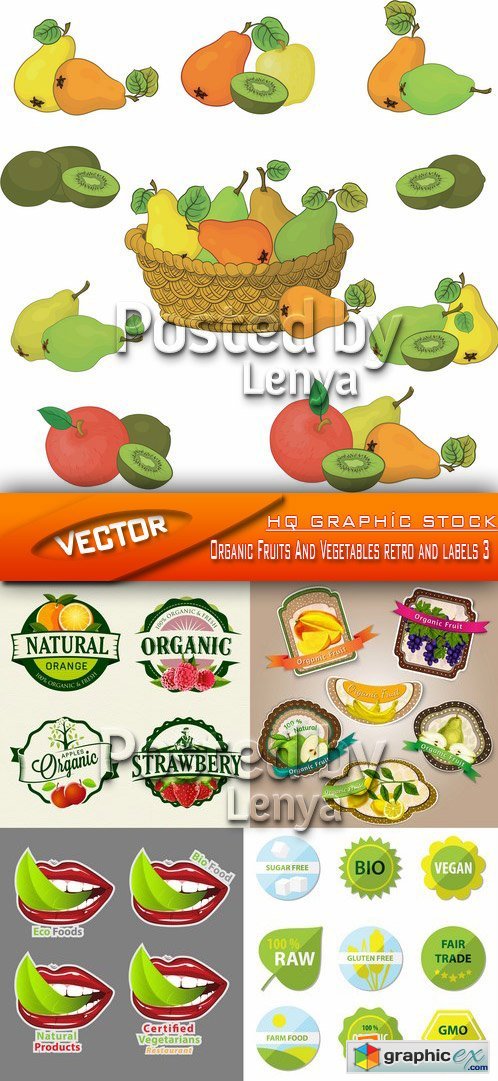 Stock Vector - Organic Fruits And Vegetables retro and labels 3