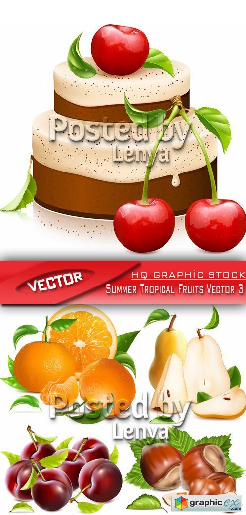 Stock Vector - Summer Tropical Fruits Vector 3