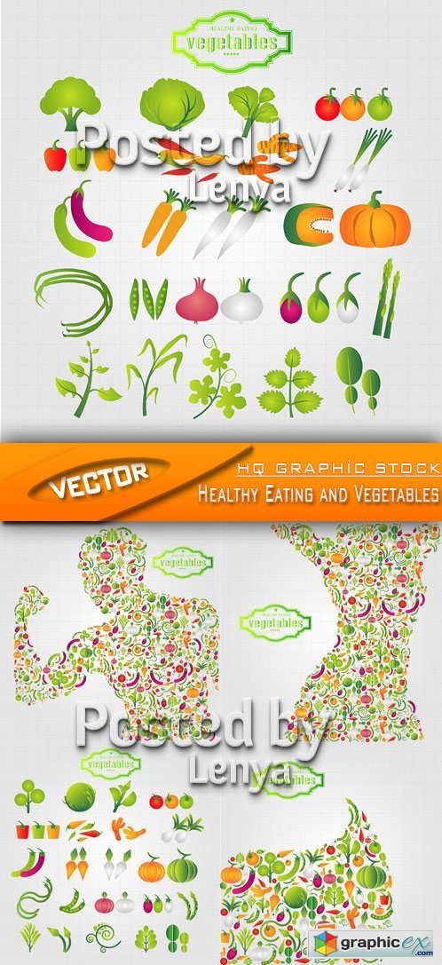 Stock Vector - Healthy Eating and Vegetables