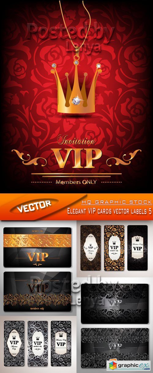 Stock Vector - Elegant VIP cards vector labels 5