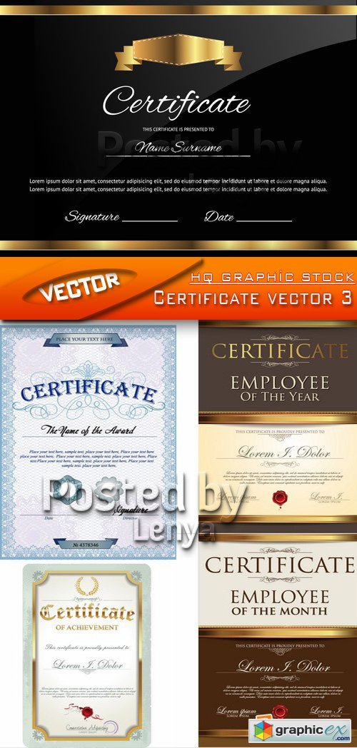Stock Vector - Certificate vector 3