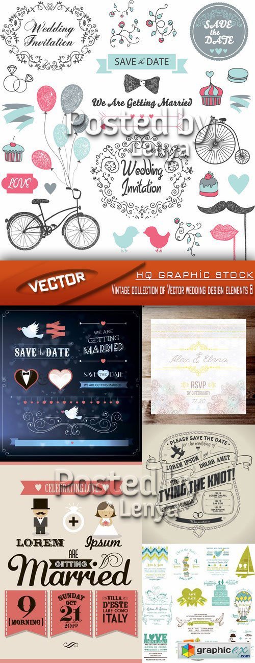 Stock Vector - Vintage collection of Vector wedding design elements 8