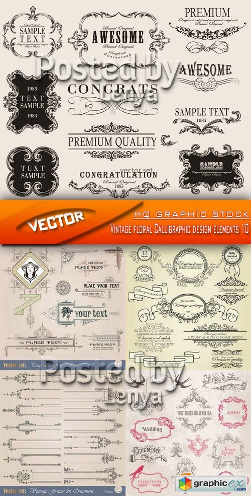 Stock Vector - Vintage floral Calligraphic design elements 10