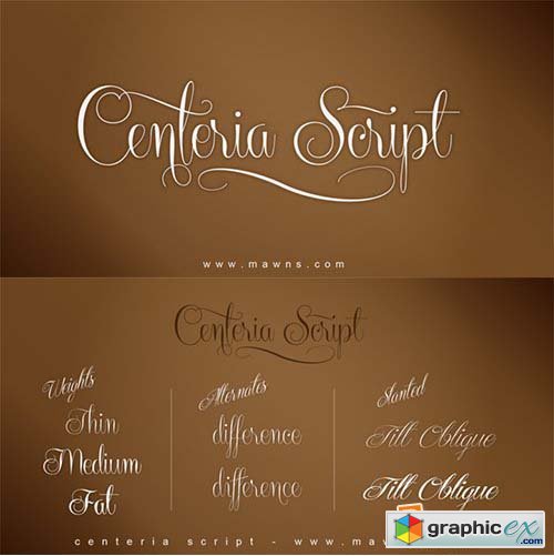 Centeria Script Font Family - 12 Fonts $708