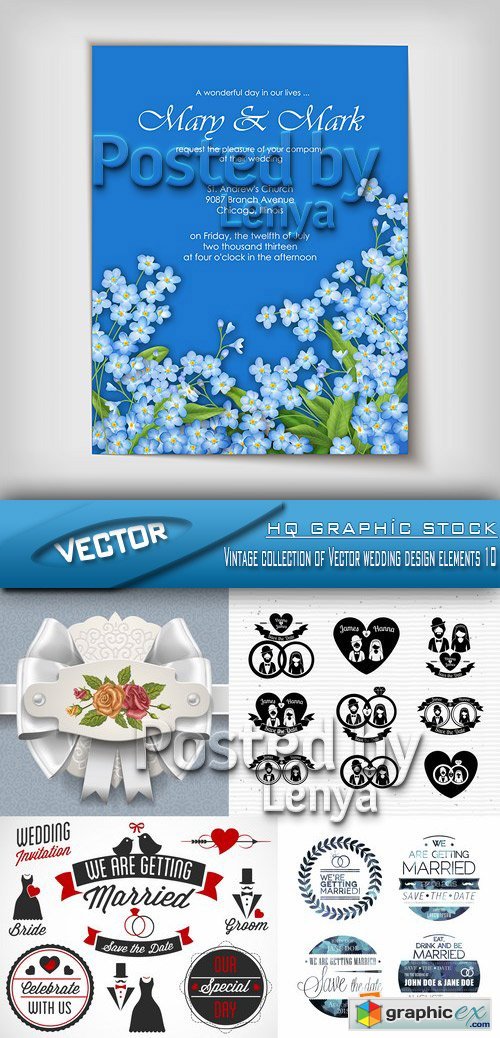 Stock Vector - Vintage collection of Vector wedding design elements 10