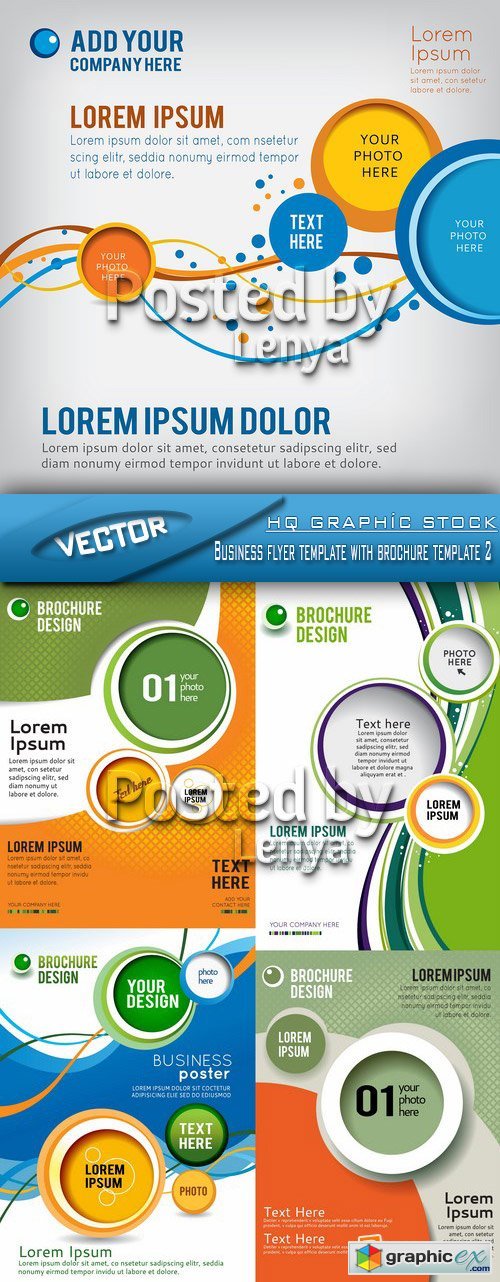 Stock Vector - Business flyer template with brochure template 2