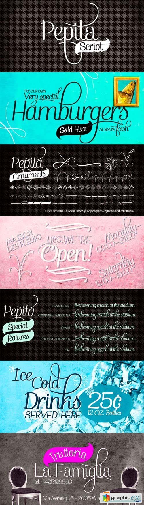 Pepita Script Font Family - 6 Fonts for $60