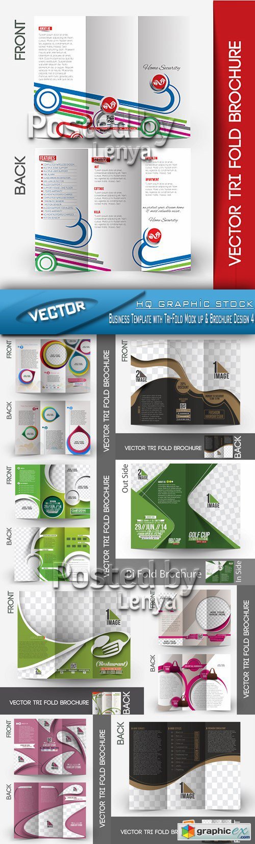 Stock Vector - Business Template with Tri-Fold Mock up & Brochure Design 4