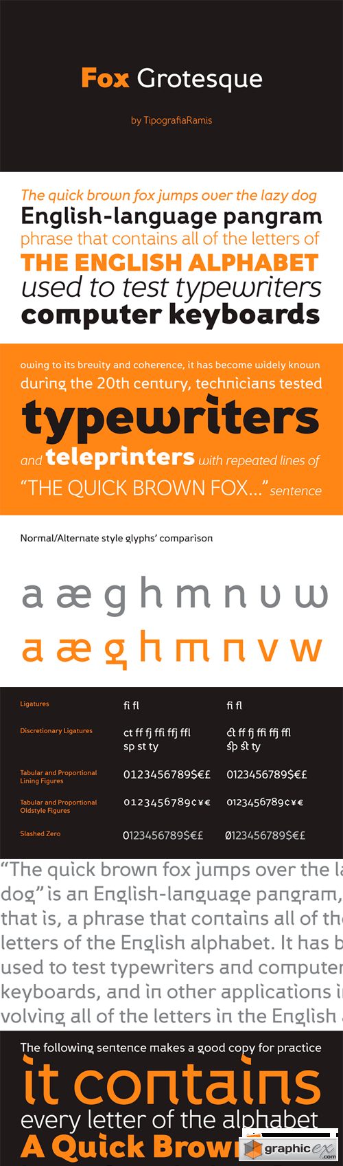 Fox Grotesque Font Family - 12 Fonts for $200