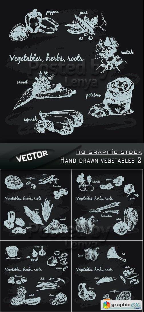 Stock Vector - Hand drawn vegetables 2