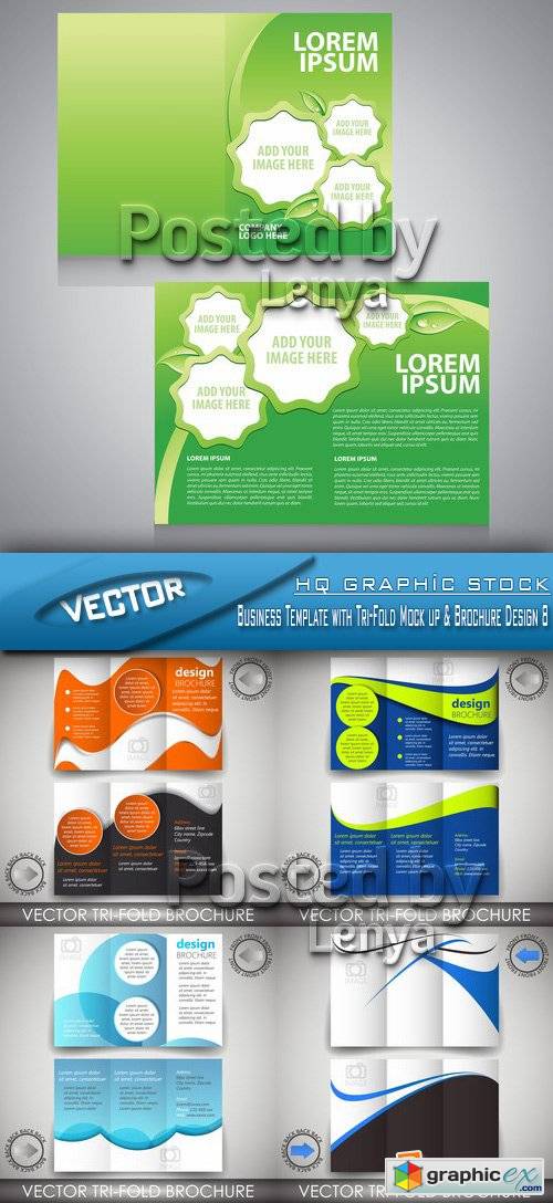 Stock Vector - Business Template with Tri-Fold Mock up & Brochure Design 8