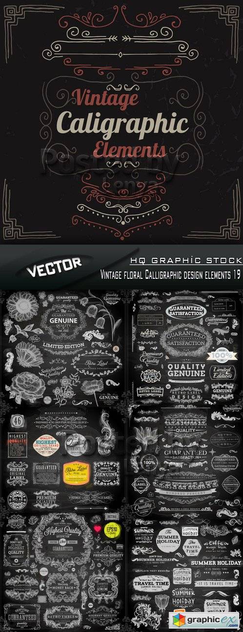 Stock Vector - Vintage floral Calligraphic design elements 19