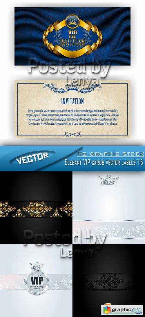 Stock Vector - Elegant VIP cards vector labels 15