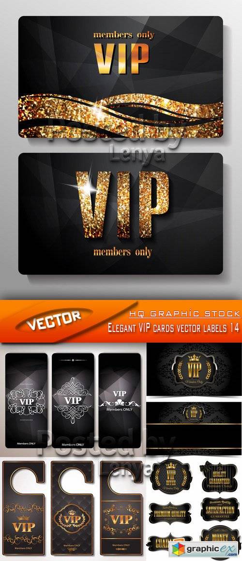 Stock Vector - Elegant VIP cards vector labels 14