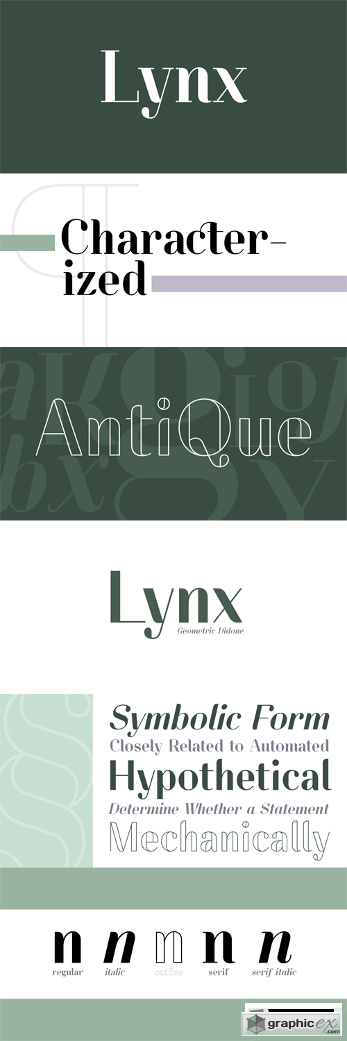 Lynx Font Family - 5 Fonts for $106