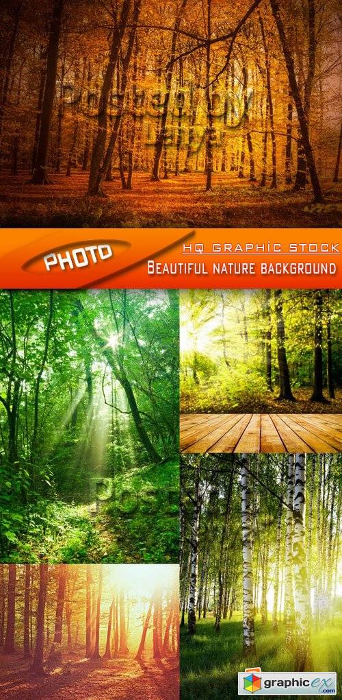 Stock Photo - Beautiful nature background