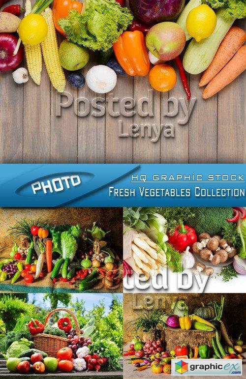 Stock Photo - Fresh Vegetables Collection