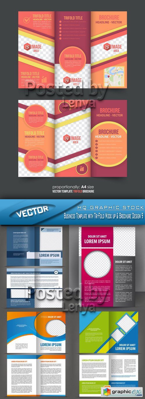 Stock Vector - Business Template with Tri-Fold Mock up & Brochure Design 9