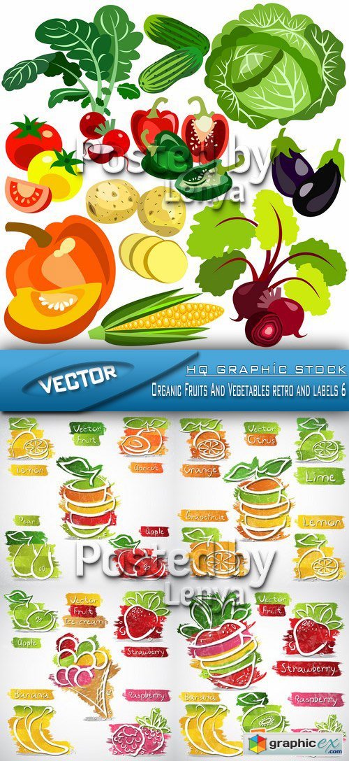 Stock Vector - Organic Fruits And Vegetables retro and labels 6