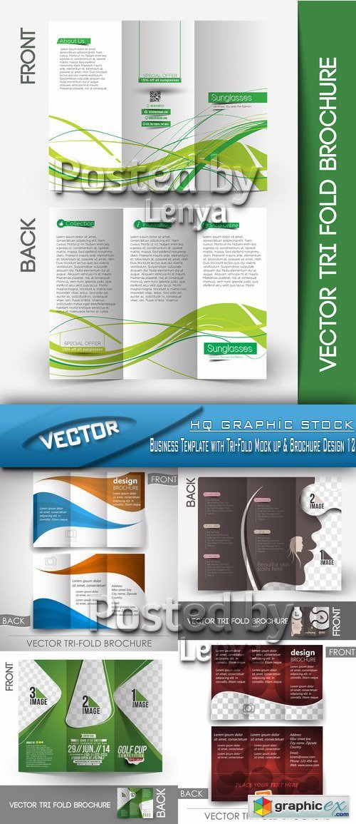 Stock Vector - Business Template with Tri-Fold Mock up & Brochure Design 12