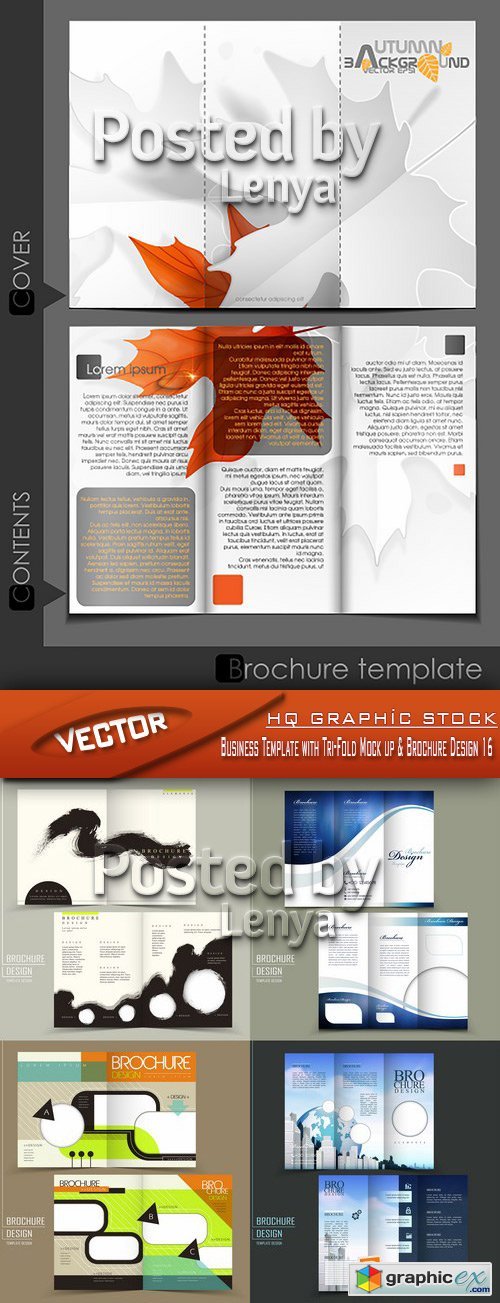 Stock Vector - Business Template with Tri-Fold Mock up & Brochure Design 16