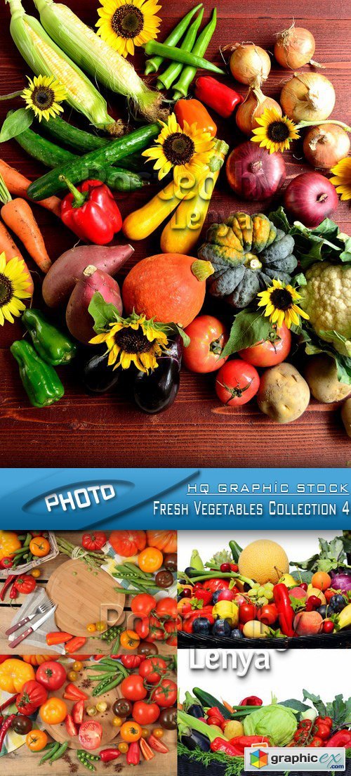 Stock Photo - Fresh Vegetables Collection 4