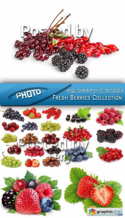 Stock Photo - Fresh Berries Collection