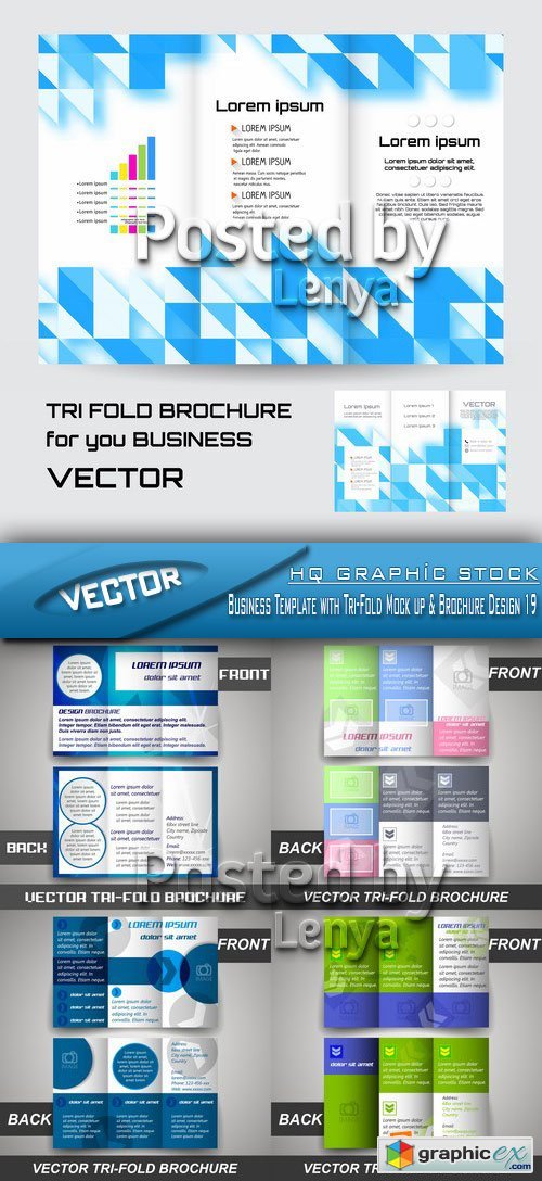Stock Vector - Business Template with Tri-Fold Mock up & Brochure Design 19