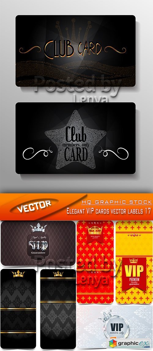 Stock Vector - Elegant VIP cards vector labels 17