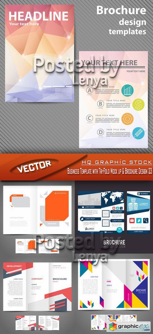Stock Vector - Business Template with Tri-Fold Mock up & Brochure Design 23