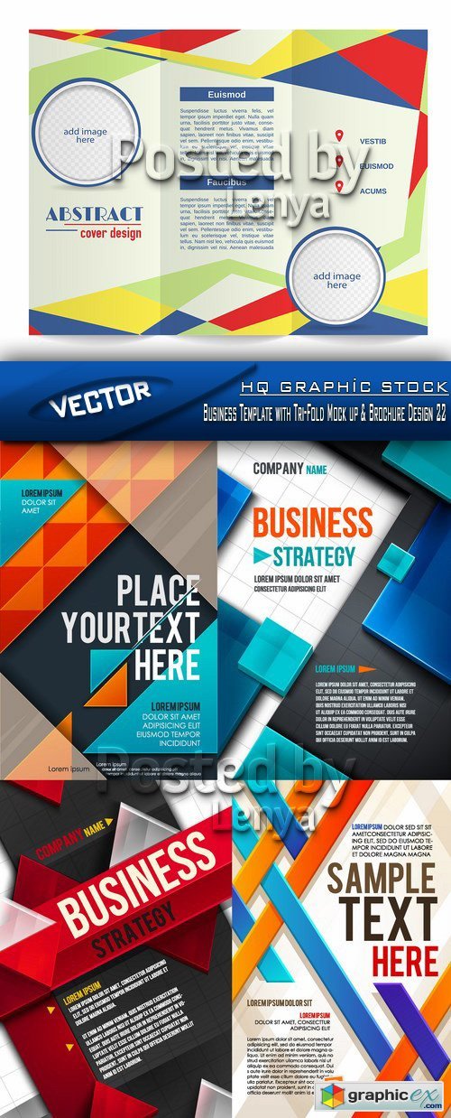 Stock Vector - Business Template with Tri-Fold Mock up & Brochure Design 22