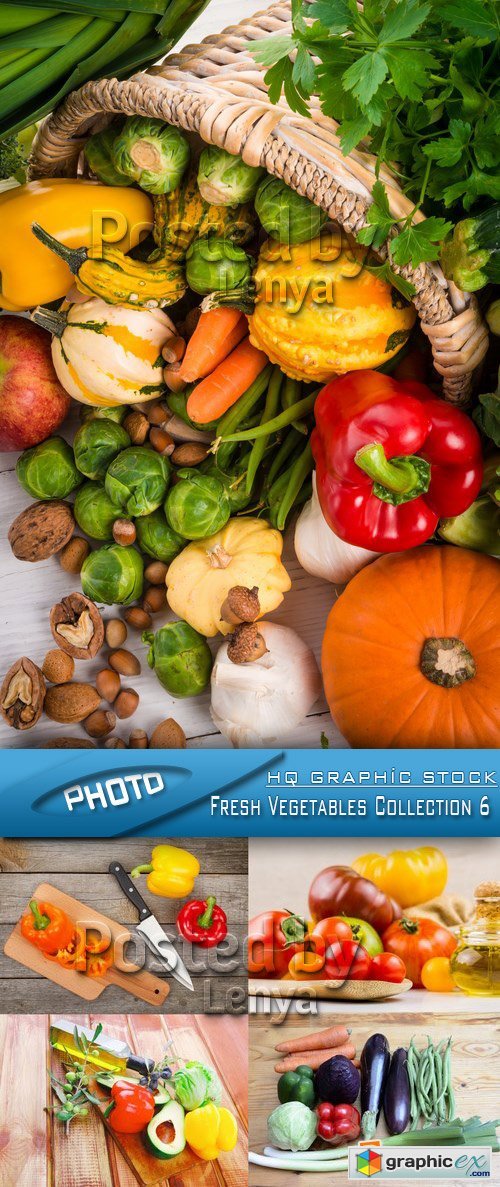 Stock Photo - Fresh Vegetables Collection 6