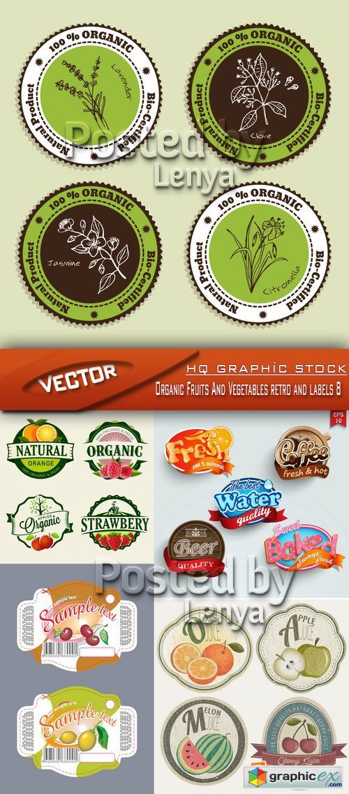 Stock Vector - Organic Fruits And Vegetables retro and labels 8