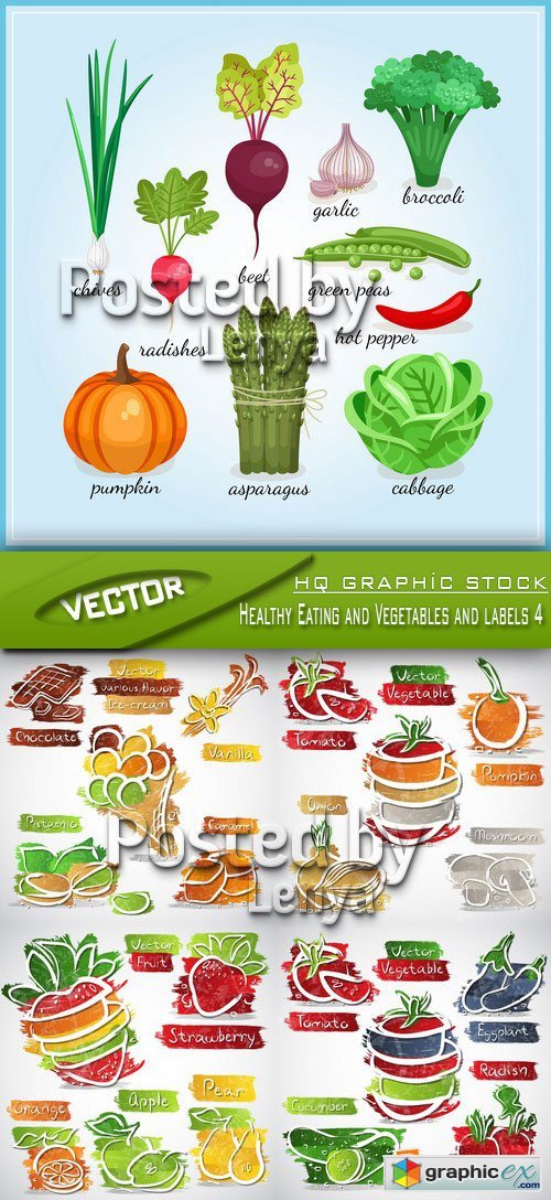 Stock Vector - Healthy Eating and Vegetables and labels 4