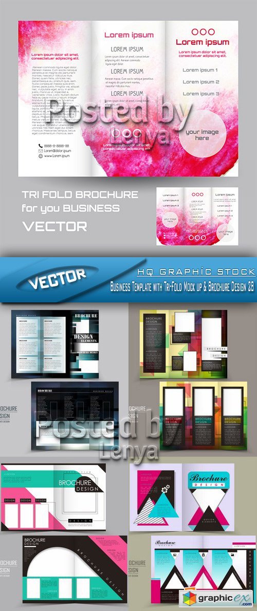Stock Vector - Business Template with Tri-Fold Mock up & Brochure Design 28