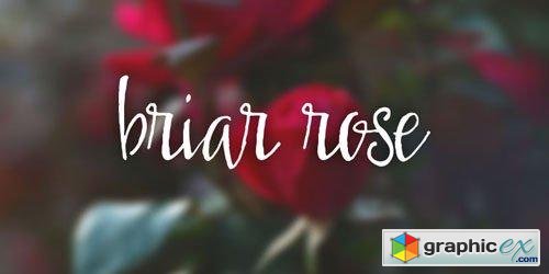 Briar Rose Font for $15