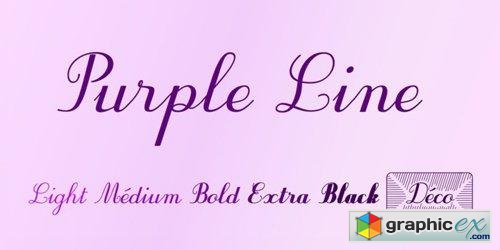 Purple Line Font Family - 6 Fonts for $49