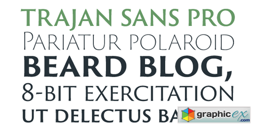 Trajan Sans Pro Font Family - 6 Fonts for $175