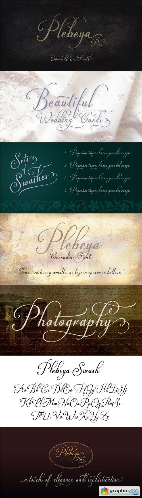 Plebeya Font Family - 4 Fonts for $120
