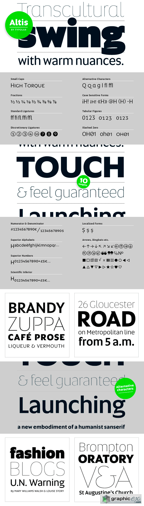 Altis Font Family - 10 Fonts for $392