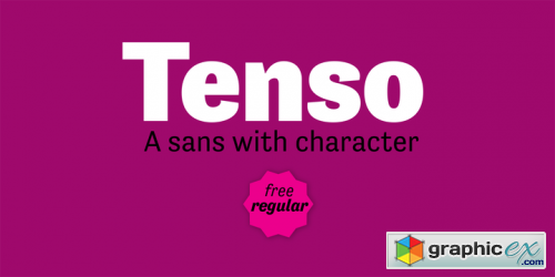 Tenso Font Family - 10xOTF+TTF $99